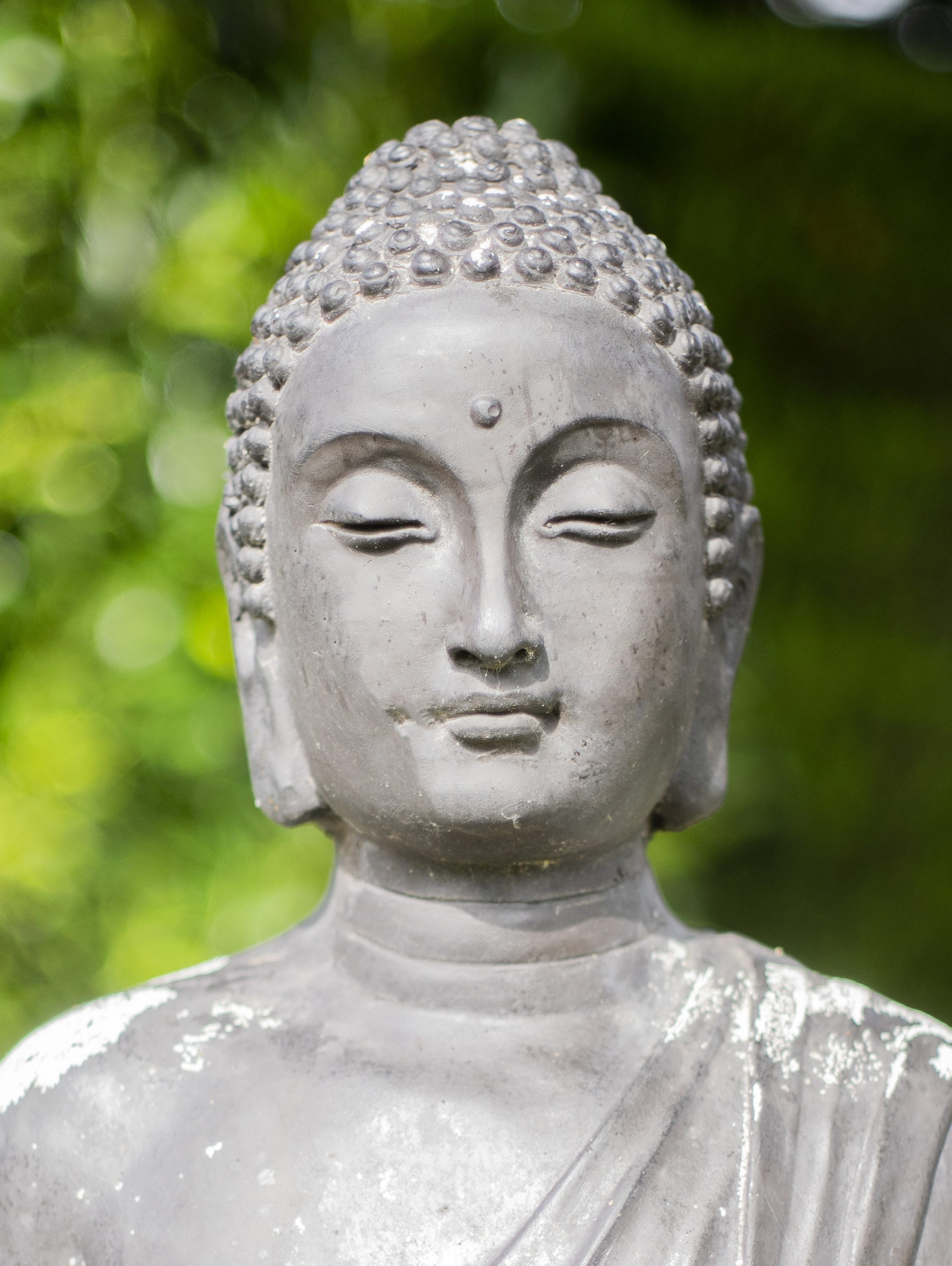 Protocol Special Cree Par Wuwun Hely