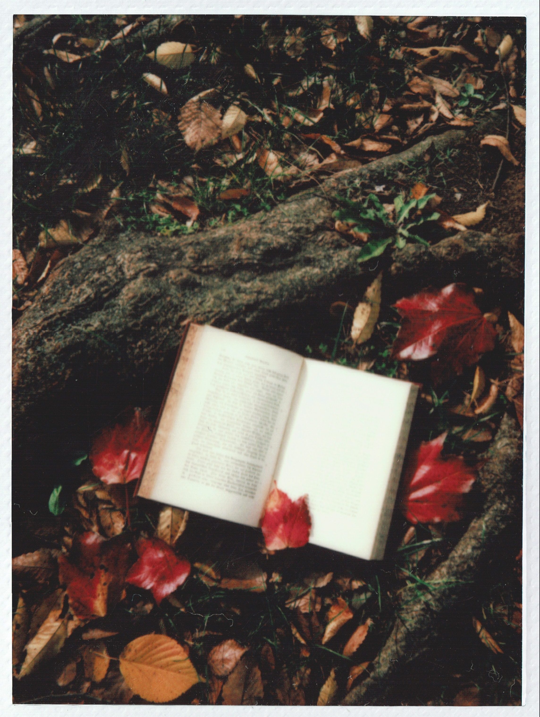 Livre Massage Balinais